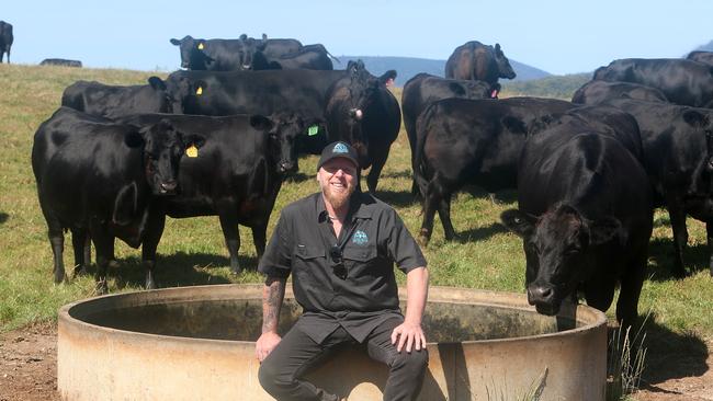 Ben Whiteley, among his Angus cows at "Dryburgh", Neerim Junction. Picture: Yuri Kouzmin