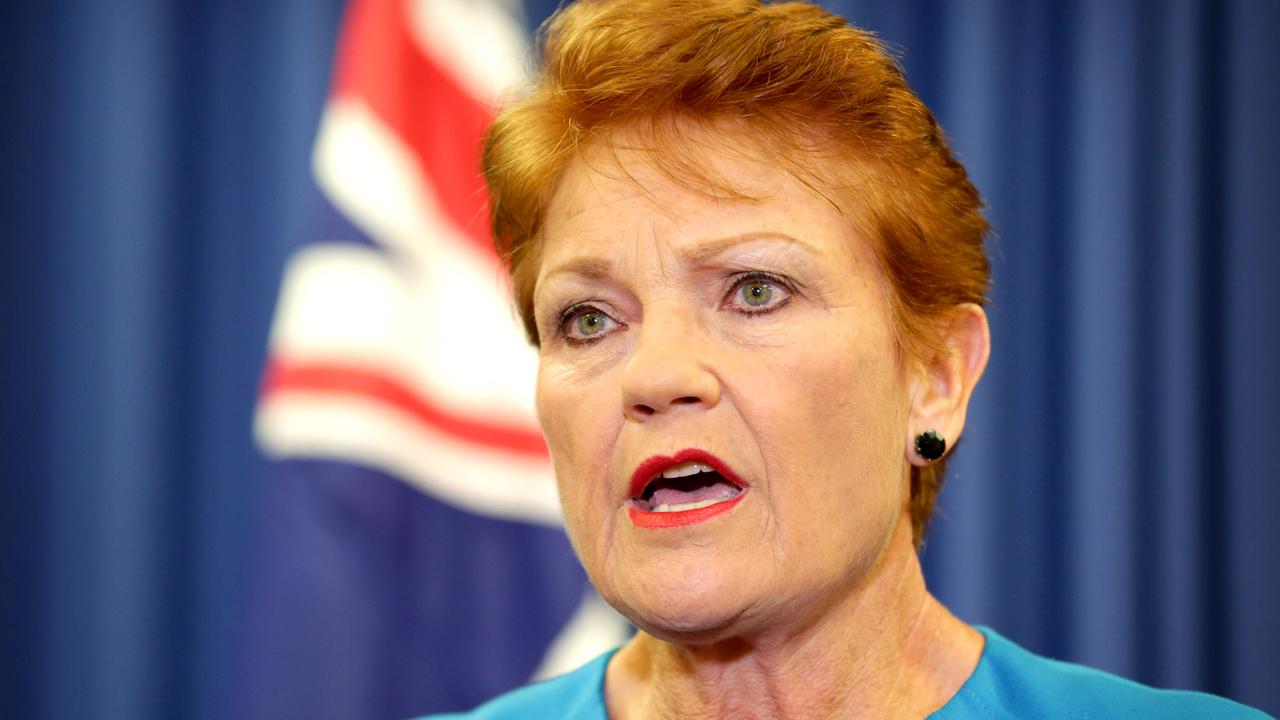 One Nation Drops Pauline Hanson From Name | Daily Telegraph