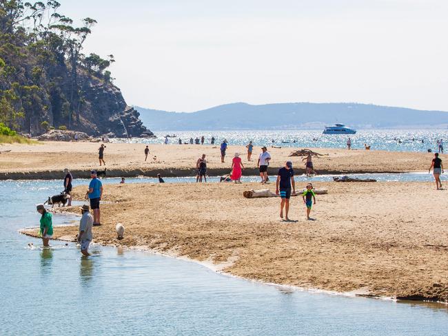 Kingston dog beach on Sunday 2nd February 2025.Picture: Linda Higginson