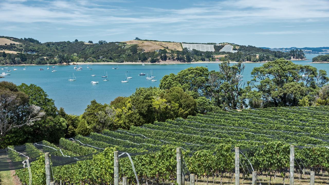 The Waiheke Island climate lends itself perfectly to winemaking and there are 22 vineyards on the island.