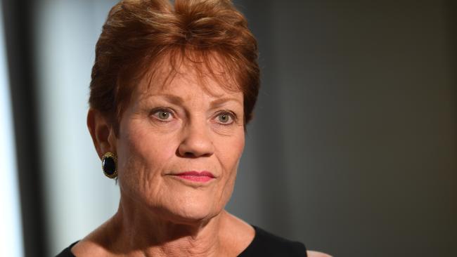 Senator Hanson says the border closure is unconstitutional. Picture: News Corp