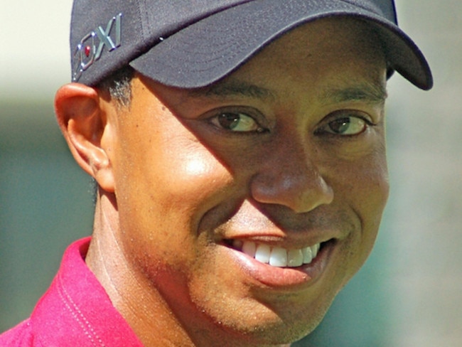 Tiger as an adult.