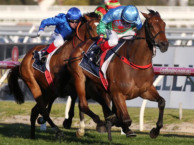 Dean Yendall and Scales Of Justice combine to win the Memsie Stakes.