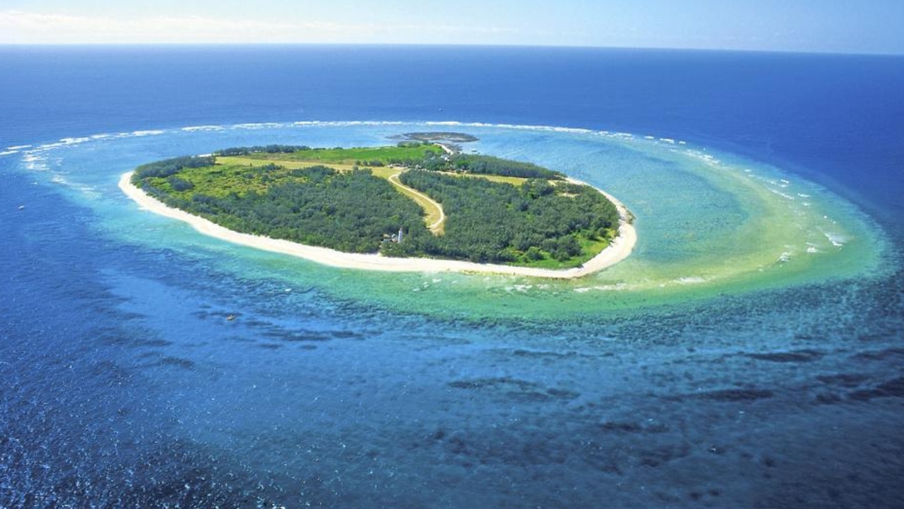 The group of seven surfers went on a trip to Lady Elliot Island, a small coral island at the southern tip of the Great Barrier Reef.