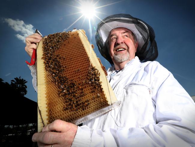 Ipswich councillor Paul Tully at home in his beekeeper suit. Picture: File