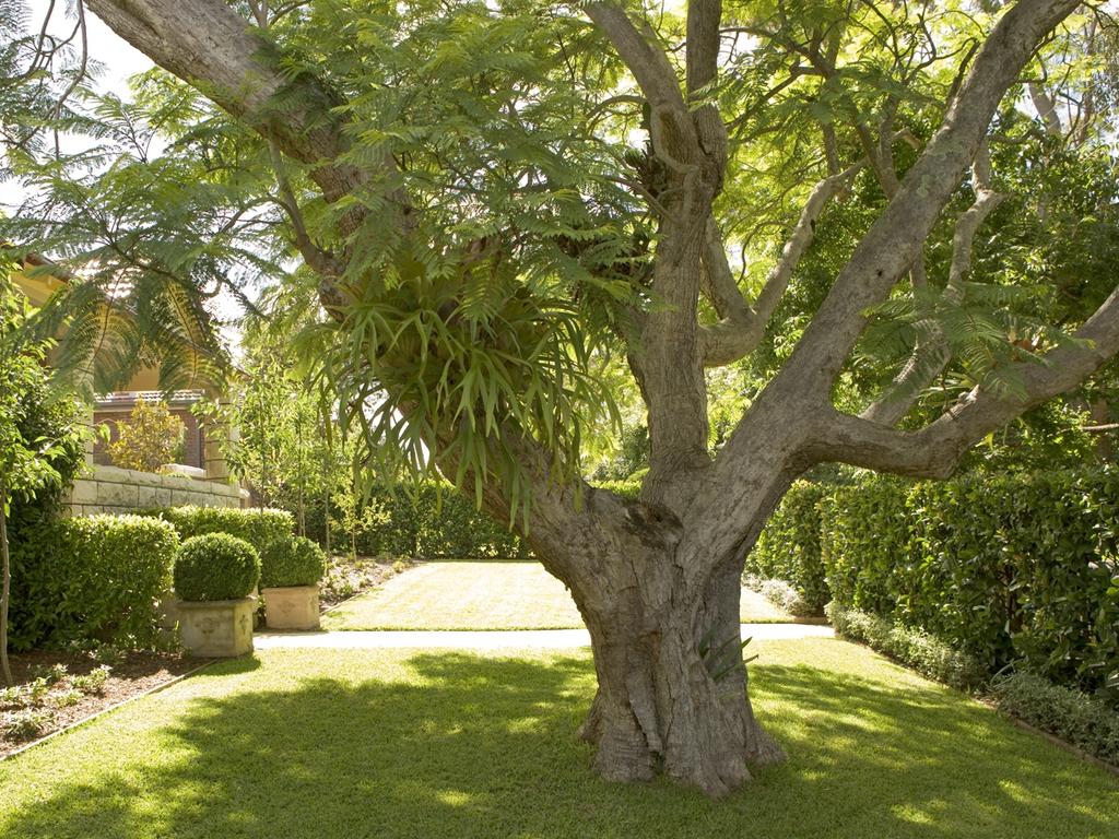 Write tree protection into your building contract. Picture: Landart Landscapes.