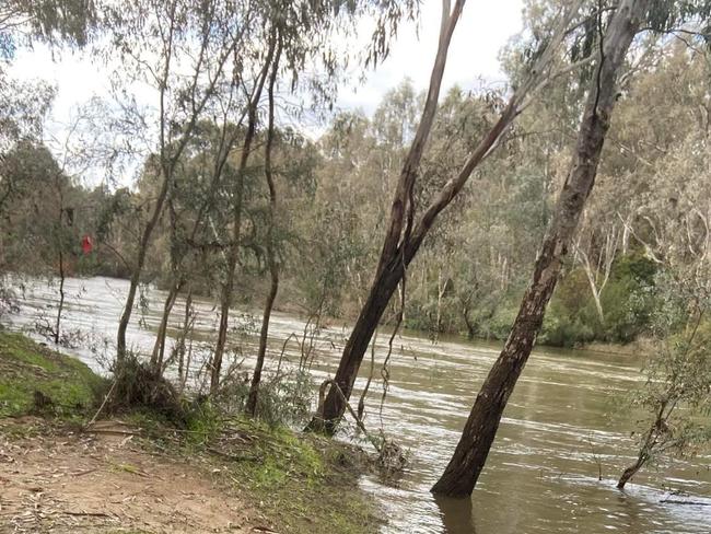 The location along the Goulburn River where Mr Murphy’s decomposed body was found.