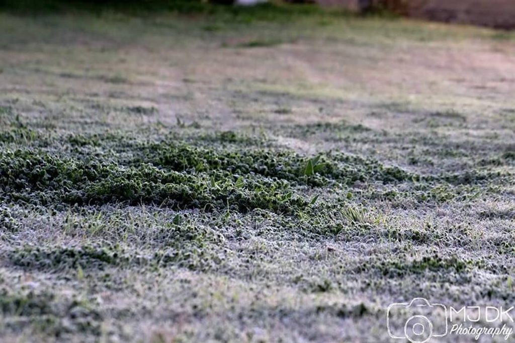 Cold weather pics from Toowoomba | The Courier Mail