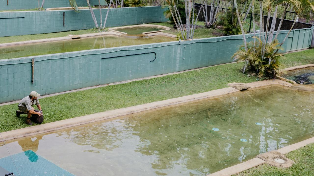 Audio and video equipment being installed in a saltwater crocodile enclosure at Australia Zoo.