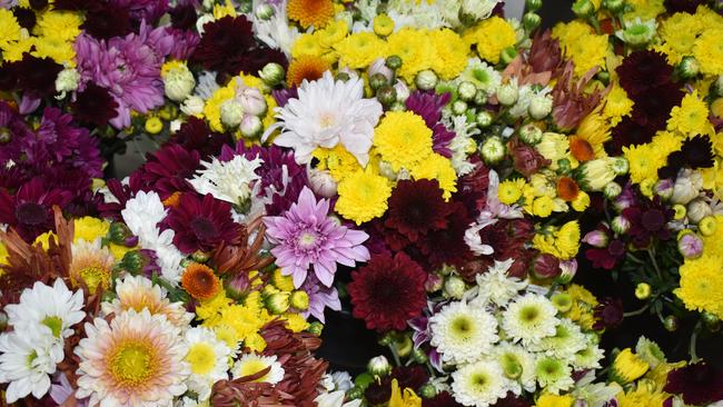 The Endeavour Foundation has harvested 70,000 flowers this year for their annual Mother's Day stall. Picture: Rhylea Millar