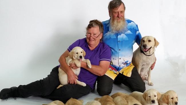 Colleen and Les Modra with Reggie, and one of her litters. Picture: supplied