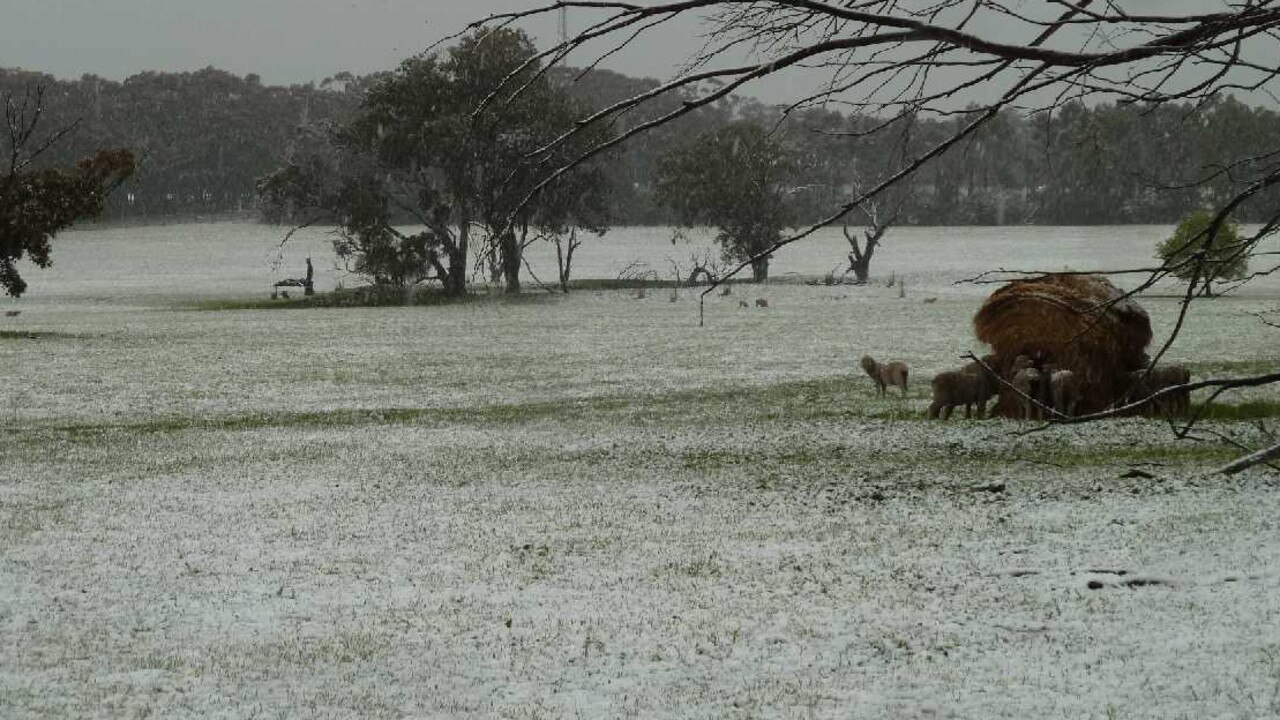 Widespread rain boosts crop confidence