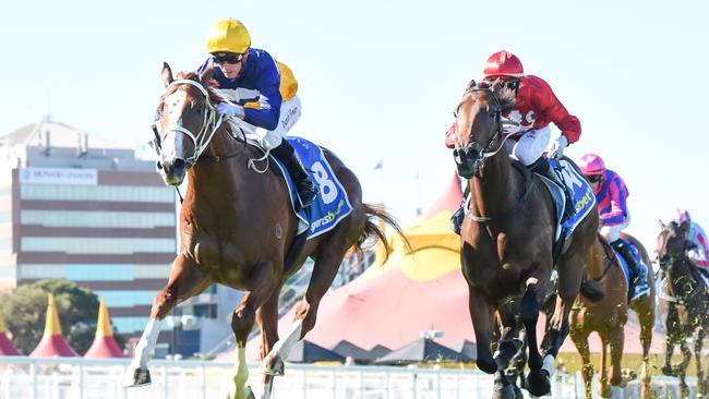 Prince Tycoon (left) edges out Rosangela in the two-year-old race at Caulfield on Saturday. Picture: Racing Photos