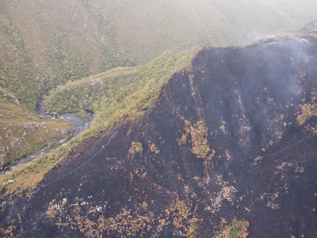 Hoselay on ridgeline near Gordon River. Picture: WARREN FREY/TASMANIA FIRE SERVICE