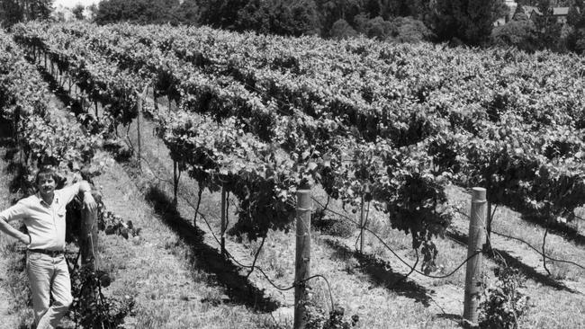 Winemaker Brian Croser in his Petaluma vineyard in the Piccadilly Valley in 1985.