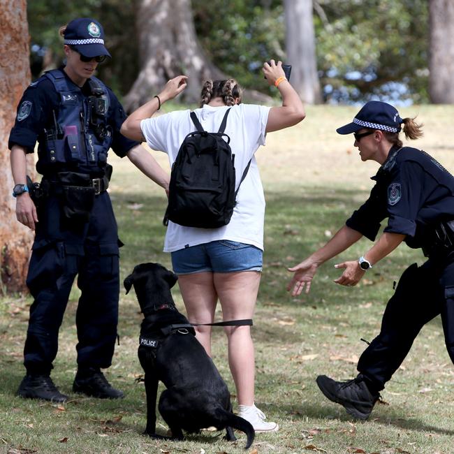 The Premier has rejected other recommendations such as pill testing and abolishing sniffer dogs.