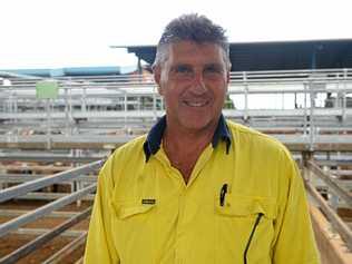 NOT JUST COAL: Mark Ironside of Rosedale east of Miriam Vale brought a truckload of steers to CQLX on Friday. Picture: Jann Houley