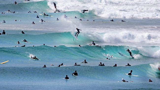 The Coast’s huge surfing community could be a powerful political lobby. Picture: Luke Marsden.