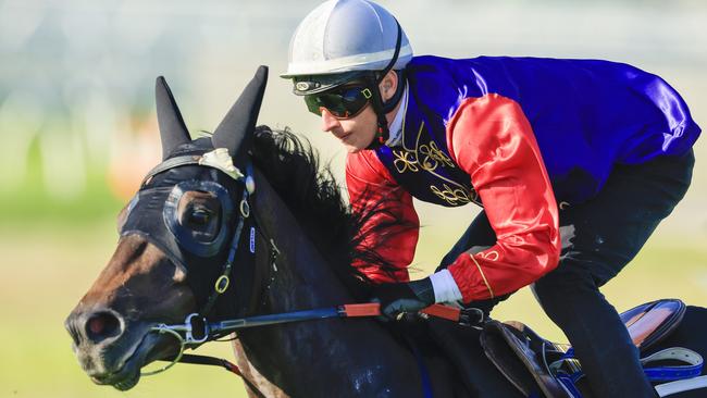 Imported gelding Chalk Stream scored his first Australian win in the Australia Day Stakes at Warwick Farm on Thursday. Picture: Getty Images