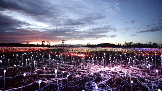 The Field of Light white stems. Picture: Mark Pickthall