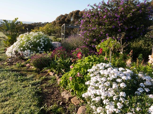 Garden beds