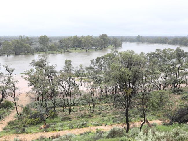 A flood warning has been issued for Berri and Renmark. Heavy rains overnight and rising river levels are expected to cause issues for lower lying areas.. The Murray River at Wakerie, already experiencing high water levels. 24 October 2022. Picture Dean Martin