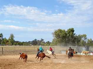 TOUGH COMPETITION: The Maranoa Team Penning took place at the weekend had a good crowd of competitors. Picture: Contributed