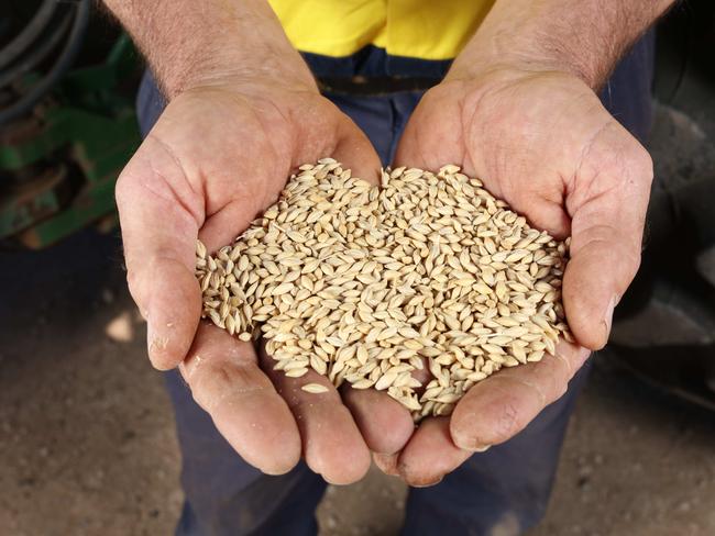 China is reliant on Aussie grain but you wouldn’t know it based on their astronomical tariffs placed on barley. Picture: Supplied / Emma Brasier