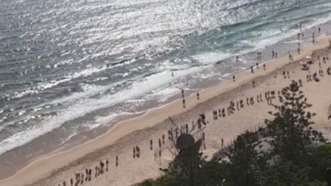 Protesters lined Mooloolaba Beach to demonstrate where the proposed new seawall will be built.