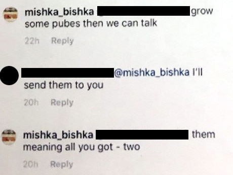 Instagram exchange between online trolls and Premier Gladys Berejiklian’s sister Mary aka mishka_bishka.