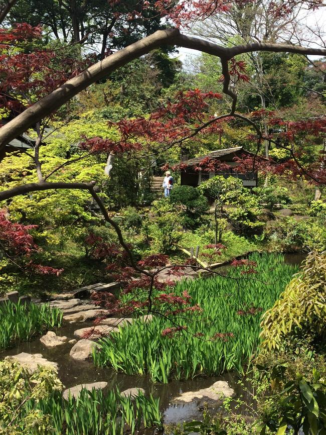 Nezu Museum Garden, part of a private complex in Tokyo. Picture: Robin Powell