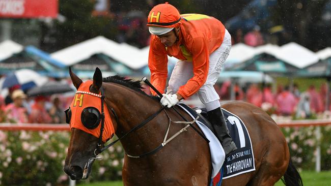 MELBOURNE, AUSTRALIA – MARCH 13: Brad Stewart riding The Harrovian to the start of Race 8, the All-Star Mile, during Melbourne Racing All-Star Mile Day at Moonee Valley Racecourse on March 13, 2021 in Melbourne, Australia. (Photo by Vince Caligiuri/Getty Images)