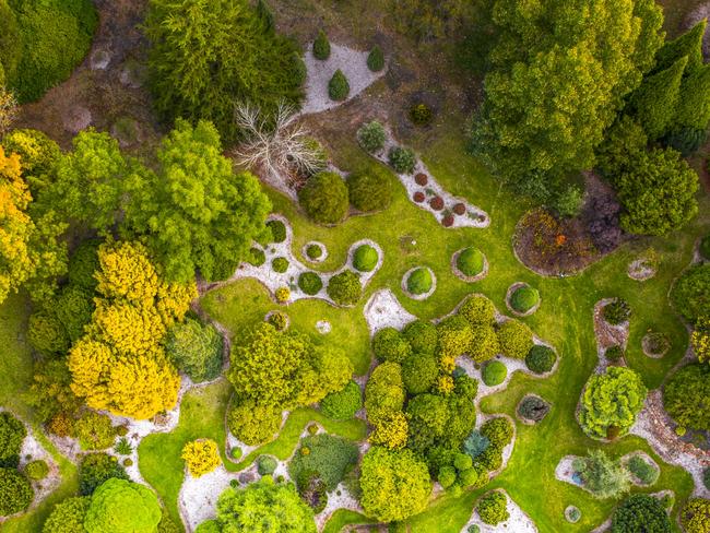 Mount Lofty Botanic Garden , South Australia. Picture: Serio.com.au