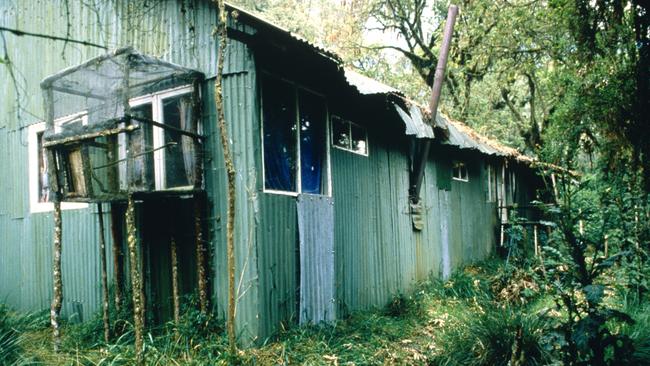 Fossey's cabin at the Karisoke Mountain Gorilla Research Centre in 1988. Picture: Getty Images