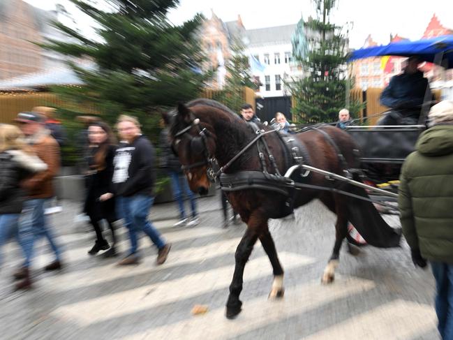 A horse-drawn carriage is seen among tourists in the historical district in Bruges on December 30, 2024. (Photo by Nicolas TUCAT / AFP)