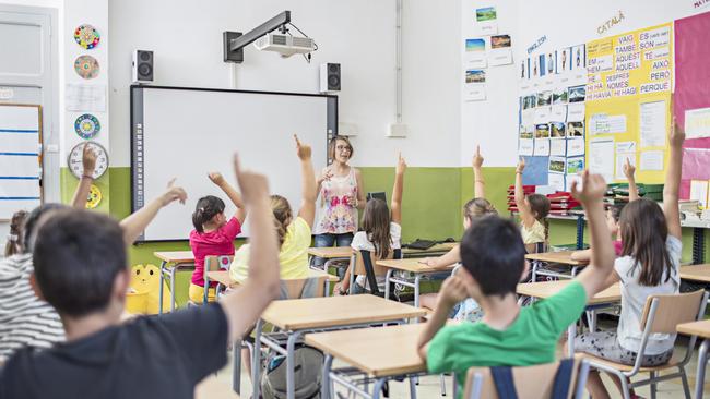 A Queensland public school chaplain has come under fire for questioning whether children should be vaccinated on a school parents Facebook group.