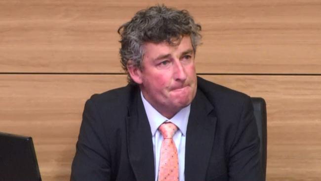 A screenshot of Michael Hirst giving testimony at today’s hearings. Picture: Supplied