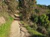 River to Rail Trail poised to reopen