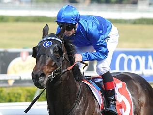RANDWICK RACES