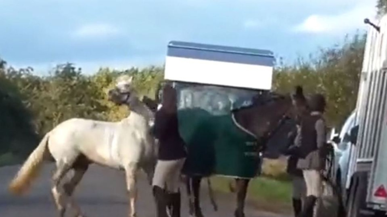 The footage was shared by Hertfordshire Hunt Saboteurs, an anti-hunting group. Picture: Herfordshire Hunt Saboteurs