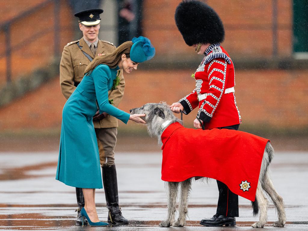 Princess Kate, in her new role as Colonel of the Irish Guards, presents Irish Wolf Hound 'Turlough Mor' (aka Seamus) with a sprig of shamrock on St. Patrick's Day. Picture: Samir Hussein/WireImage