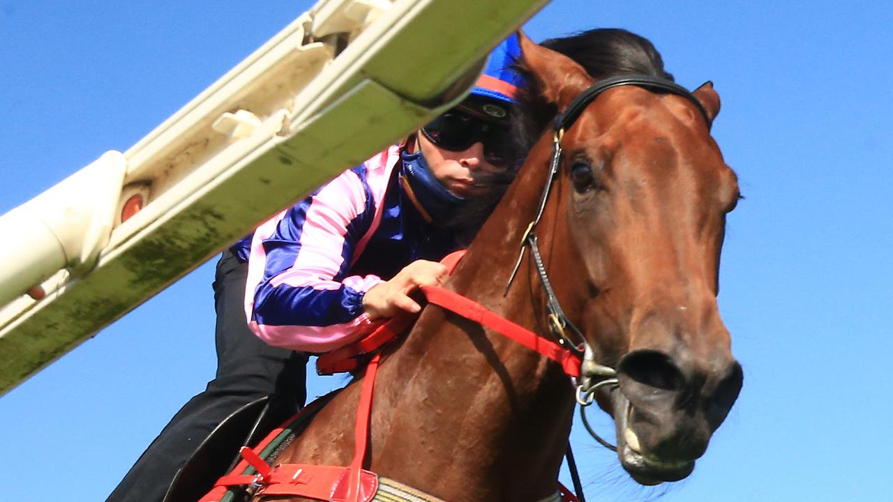 Randwick Barrier Trials