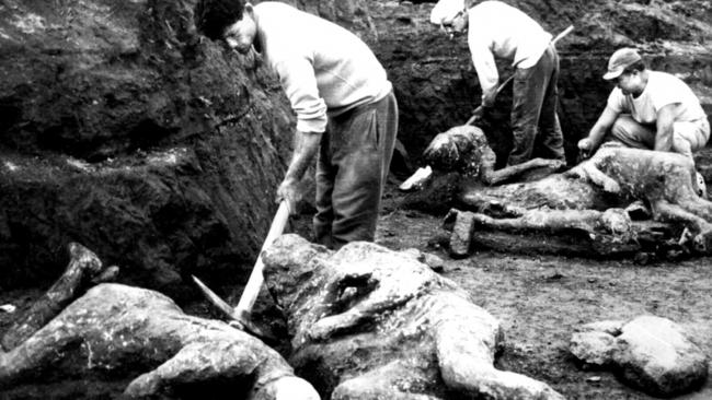 Workmen in Pompeii clear away solidified ashes from the bodies of those buried after Mount Vesuvius erupted in AD79.