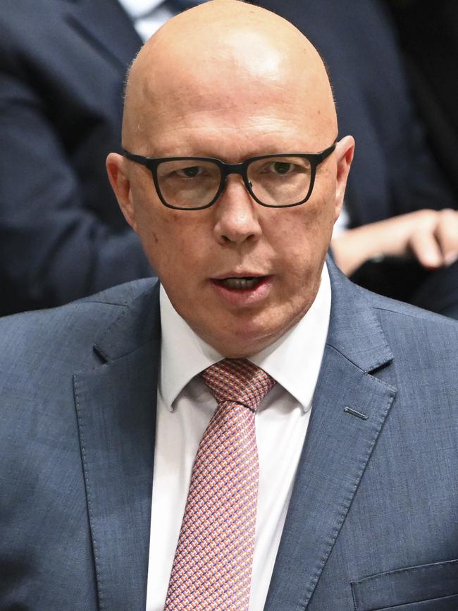 Leader of the Opposition Peter Dutton has called for heads to roll in the immigration fiasco. Picture: NCA NewsWire / Martin Ollman