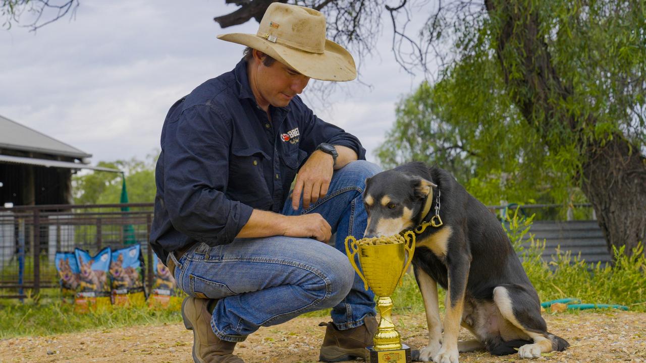 Bear ran more than 570km in the two weeks of the competition. Photo: Cobber Challenge.