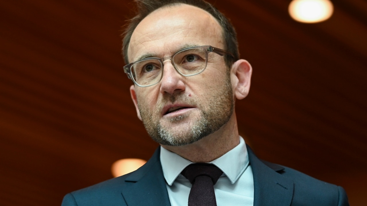 ‘An anti-racist party’: Adam Bandt defends the Greens after Lidia Thorpe revealed she would lodge human rights complaint