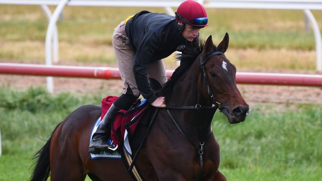 Frankie Dettori’s Cup mount, Master Of Reality, has form around Stradivarius. Picture: AAP