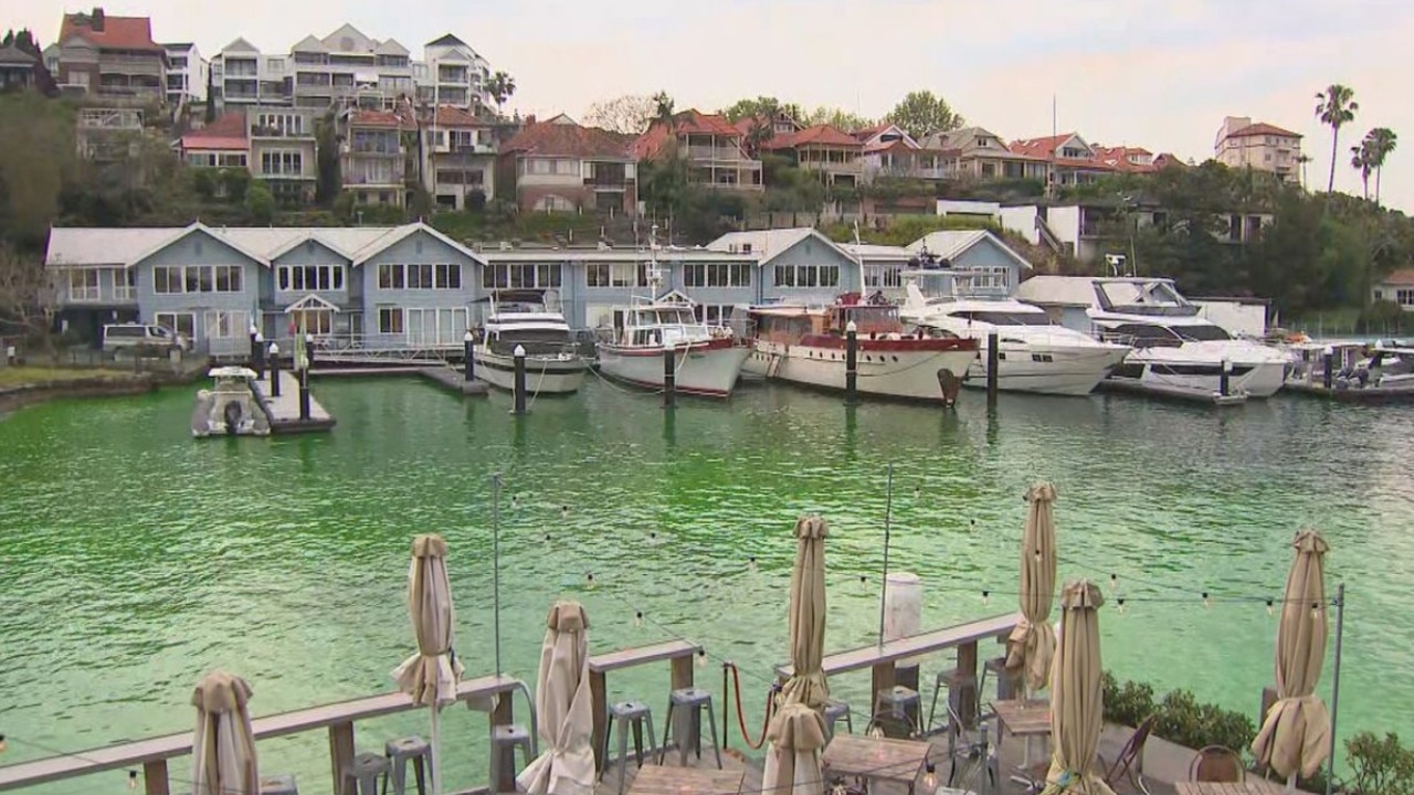 The drain which was funnelling the green water was fully flushed about three hours after the issue was reported. Picture: Channel 9