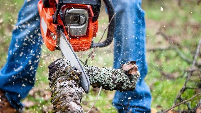 Six protected trees will be cut down for the development.