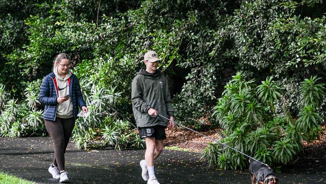 Million Paws Walk at Adelaide Botanic Gardens. Picture: Brenton Edwards